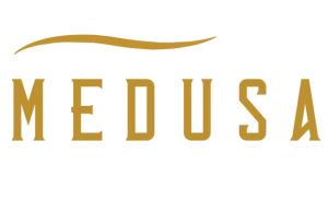 Logo of Medusa Auto Detailing company